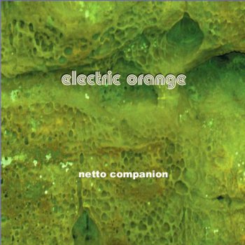 Electric Orange - Netto Companion (2015) [Web] 