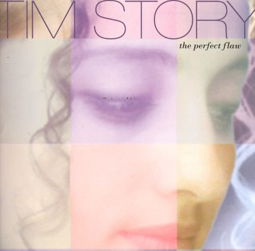 Tim Story - The Perfect Flaw (1994) (FLAC)