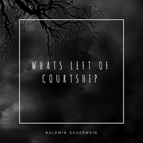 Baldwin Sauerwein - Whats Left of Courtship (2018)