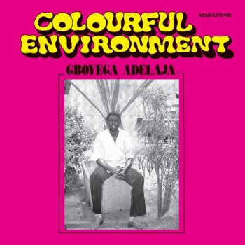 Gboyega Adelaja - Colourful Environment (1979) [Reissue 2018]