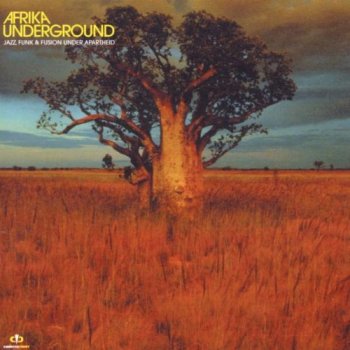 VA - Afrika Underground: Jazz, Funk & Fusion Under Apartheid (2002)
