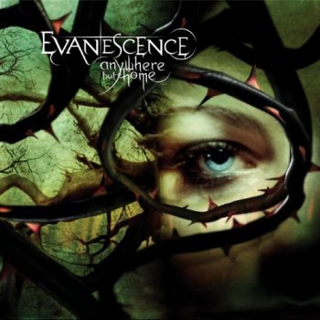 Evanescence - Anywhere But Home (2004)