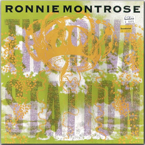 RONNIE MONTROSE & GAMMA «Discography on vinyl» +bonus (9 x LP  + 2 x CD • First Press • 1977-2017)
