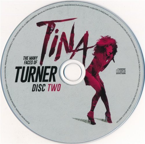 VA - The Many Faces Of Tina Turner - A Journey Through The Inner World Of Tina Turner (3CD 2018)