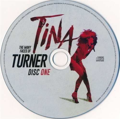 VA - The Many Faces Of Tina Turner - A Journey Through The Inner World Of Tina Turner (3CD 2018)