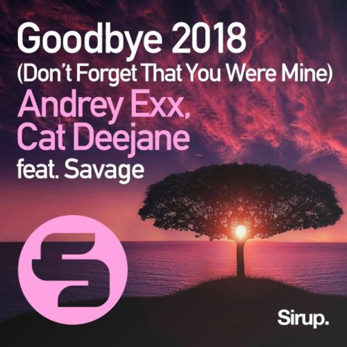 Andrey Exx, Cat Deejane feat. Savage - Goodbye 2018 (Don't Forget That You Were Mine) &#8206;(File, FLAC, Single) 2018