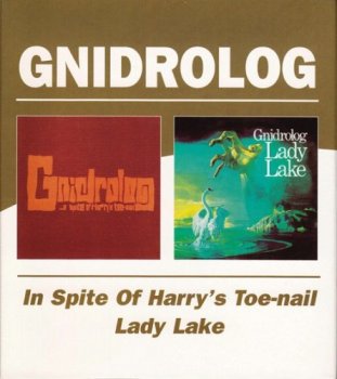 Gnidrolog - In Spite Of Harry's Toe Nail / Lady Lake (1972)