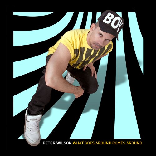 Peter Wilson - What Goes Around Comes Around &#8206;(5 x File, FLAC, Single) 2013