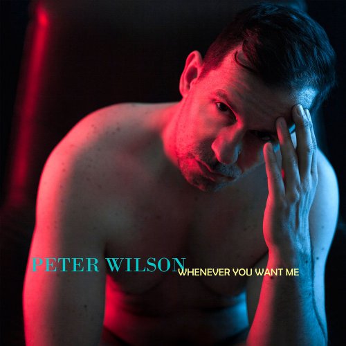 Peter Wilson - Whenever You Want Me / Surrender &#8206;(6 x File, FLAC, Single) 2019