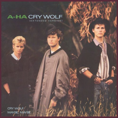 a-ha - Cry Wolf (Extended Version) (Vinyl, 12'') 1986