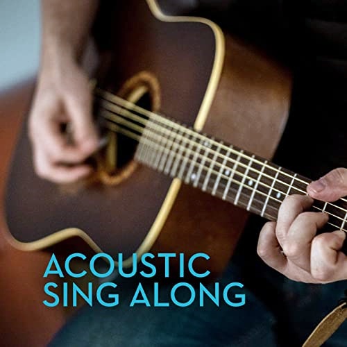 VA - Acoustic Sing Along (2020) [FLAC]
