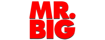 Mr. Big - ...The Stories We Could Tell (2CD) [Japanese Edition] (2014)