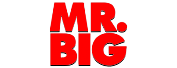 Mr. Big - ...the Stories We Could Tell (2014)