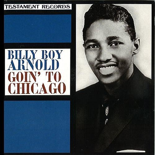 Billy Boy Arnold - Goin To Chicago (1995)