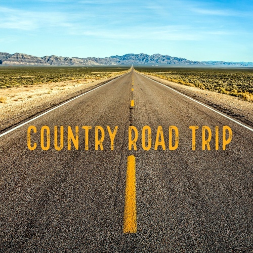 VA - Country Road Trip (2020) [FLAC]