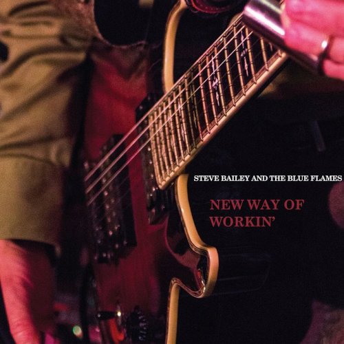 Steve Bailey and The Blue Flames - New Way Of Workin' (2014)