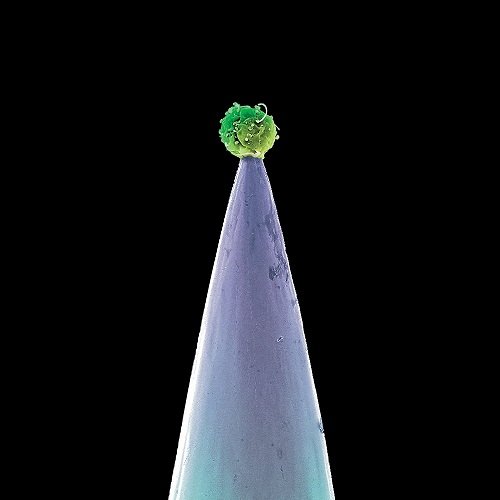 Peter Gabriel - New Blood (Special Edition) (2011)