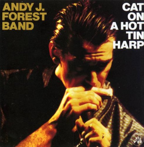 Andy J. Forest Band - Cat On A Hot Tin Harp (1987)
