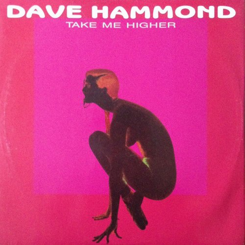 Dave Hammond - Take Me Higher (Vinyl, 12'') 1990