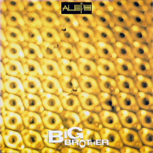 Aleph - Big Brother / I'm In Danger (Vinyl, 12'') 1988