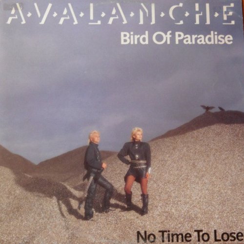 Avalanche - Bird Of Paradise (Vinyl, 12'') 1987
