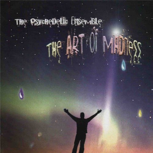 The Psychedelic Ensemble - The Art Of Madness (2009)