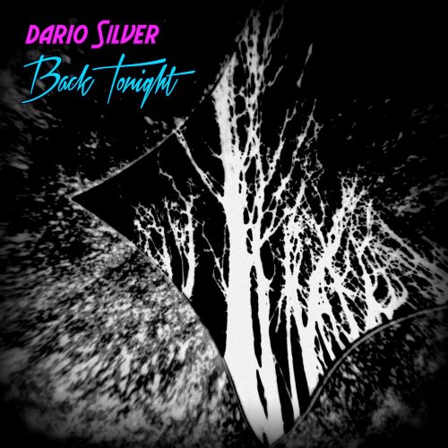 Dario Silver - Back Tonight (7'' Single Version) (3 x File, FLAC, Single) 2016