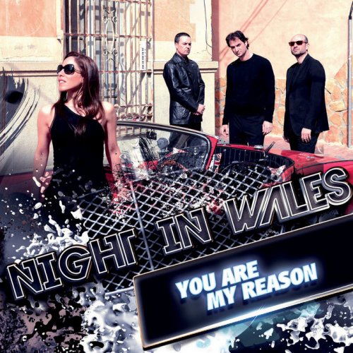 Night In Wales - You Are My Reason (4 x File, FLAC, Single) 2016