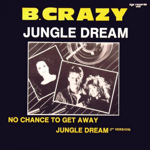 B. Crazy - Jungle Dream (Vinyl, 12'') 1986