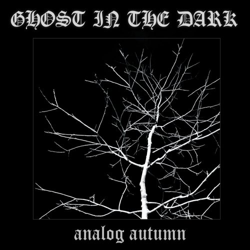 analog autumn - Ghost In The Dark (3 x File, FLAC, Single) 2018