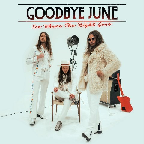 Goodbye June - See Where The Night Goes [WEB] (2022)