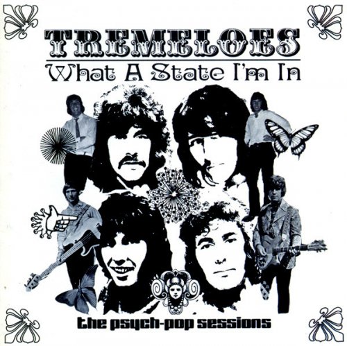 Tremeloes - What A State I'm In. The Psych-Pop Sessions (2003)