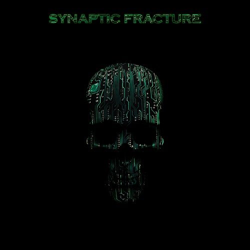 Synaptic Fracture - The Lunatic Transmissions (WEB, 2010)
