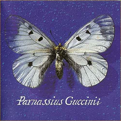 Francesco Guccini - Parnassius Guccinii (1993)