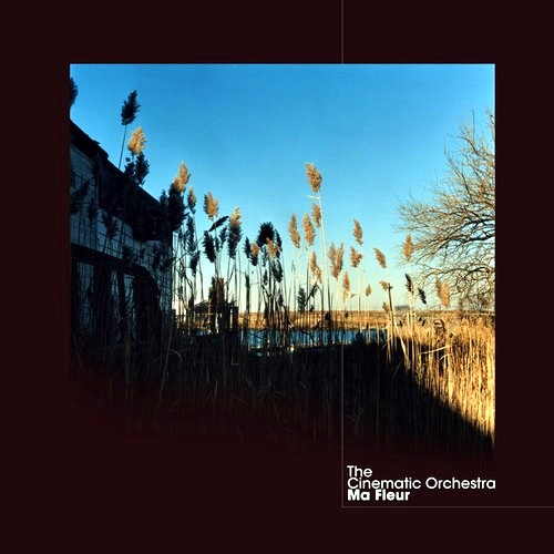 The Cinematic Orchestra - Ma Fleur (2007) [24/48 Hi-Res]