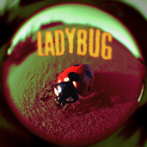 Jutes - Ladybug (2023)