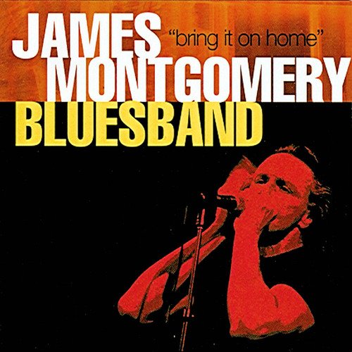 James Montgomery Blues Band - Bring It On Home (2001)