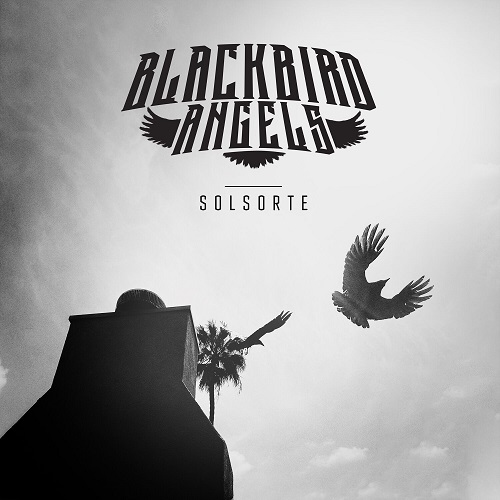 Blackbird Angels - Solsorte 2023