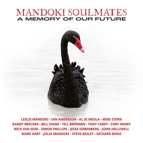 ManDoki Soulmates - A Memory Of Our Future 2024