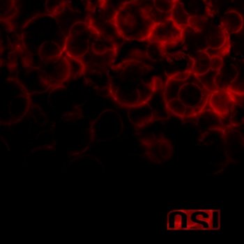 OSI - Blood - 2009 (2CD Limited Edition)