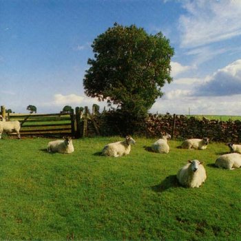 The KLF - Chill Out 1990