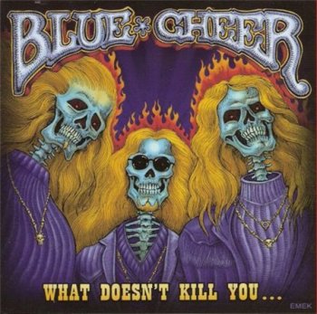 Blue Cheer - What Doesn't Kill You... (Rainman / Evangeline Records) 2007