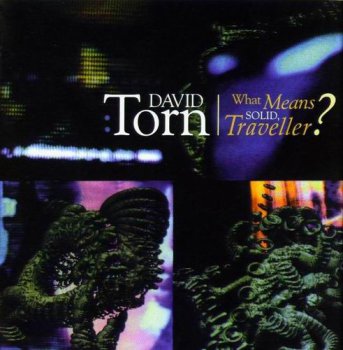 DAVID TORN - WHAT MEANS SOLID, TRAVELLER? - 1996