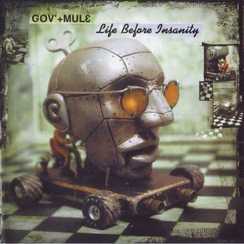 Gov'T Mule - Life Before Insanity (2000)