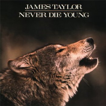James Taylor - Never Die Young (Columbia Mint Original US Pressing LP VinylRip 24/96) 1988