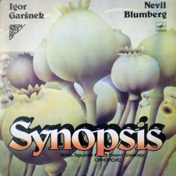 IGOR GARSNEK AND NEVIL BLUMBERG - SYNOPSIS - 1986
