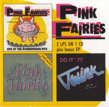 Pink Fairies - Live At The Roundhouse / Previously Unreleased / Twink And The Fairies (Big Beat Records) 1991