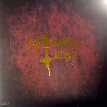 Phantom Limb - Phantom Limb (Naim Records LP VinylRip 24/96) 2008