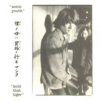 Sonic Youth. Дискография 1982-2009