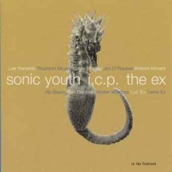 Sonic Youth. Дискография 1982-2009